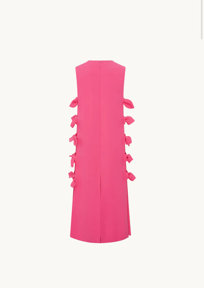 Verushka Dress in Pink