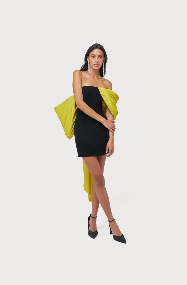 Mini Butterfly Dress in Black and Lime