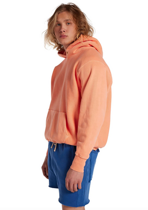 
            
                Load image into Gallery viewer, Cropped Hoodie in Washed Cantaloupe
            
        
