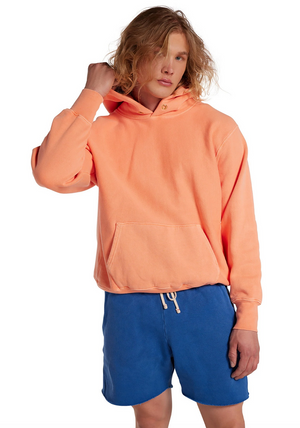 
            
                Load image into Gallery viewer, Cropped Hoodie in Washed Cantaloupe
            
        