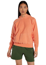 Cropped Hoodie in Washed Cantaloupe