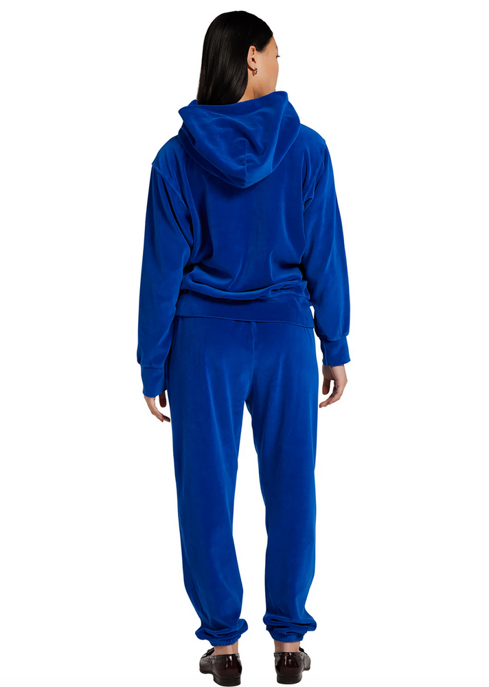 
            
                Load image into Gallery viewer, Velour Hoodie in Electric Egypt
            
        